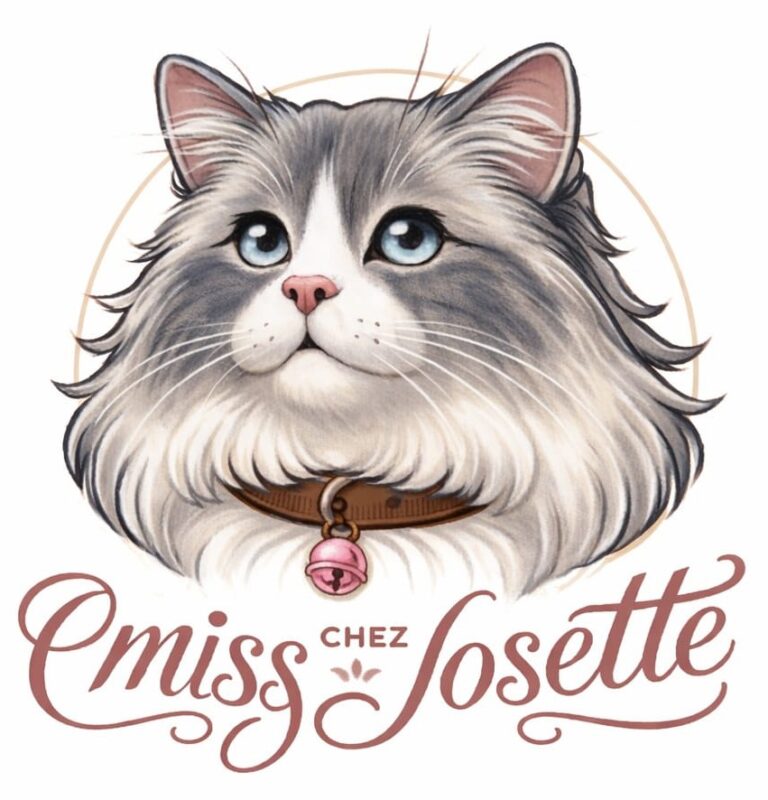 Élevage Ragdoll Fribourg - Chaton Miss Josette